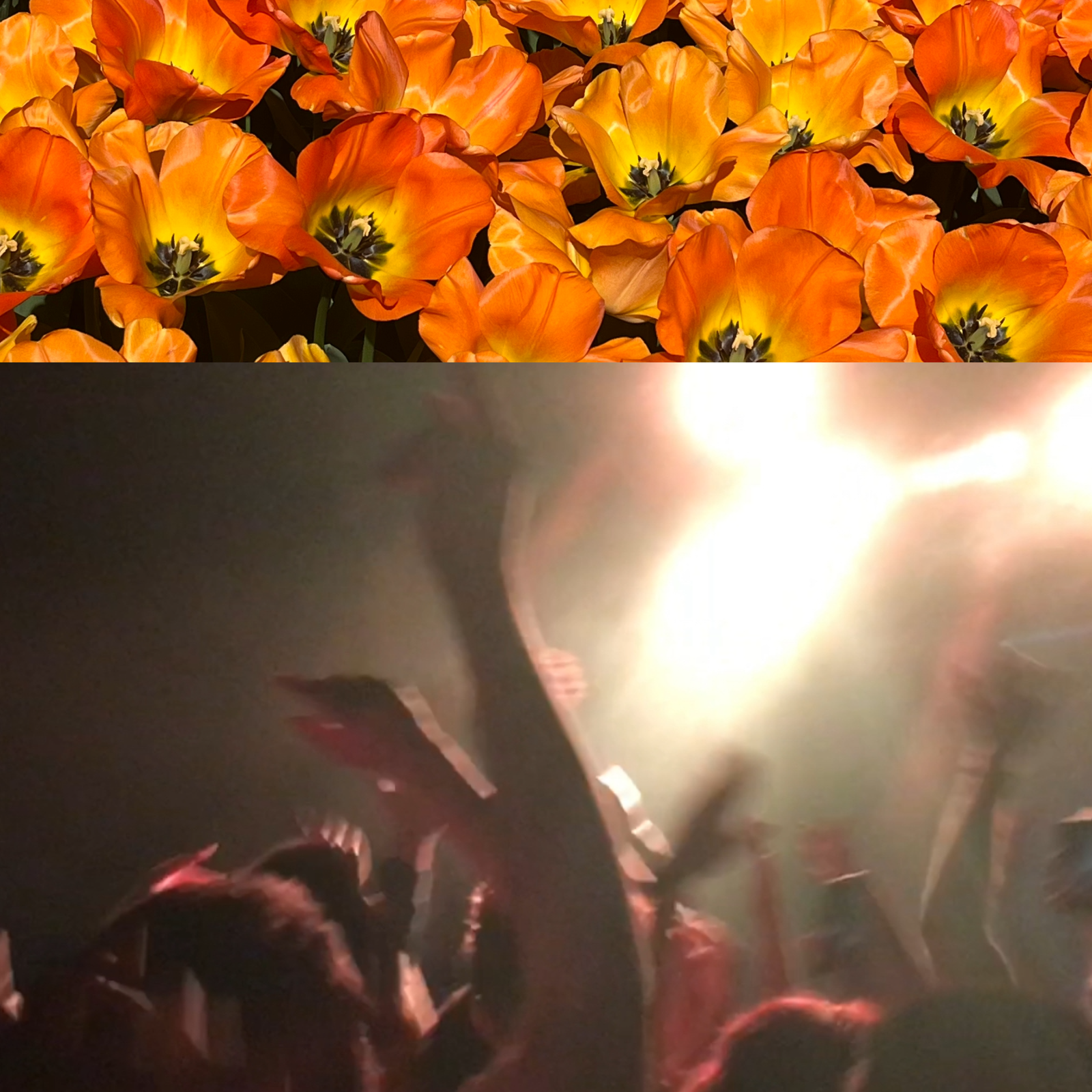 New Love (Sped Up) – IP.Baby